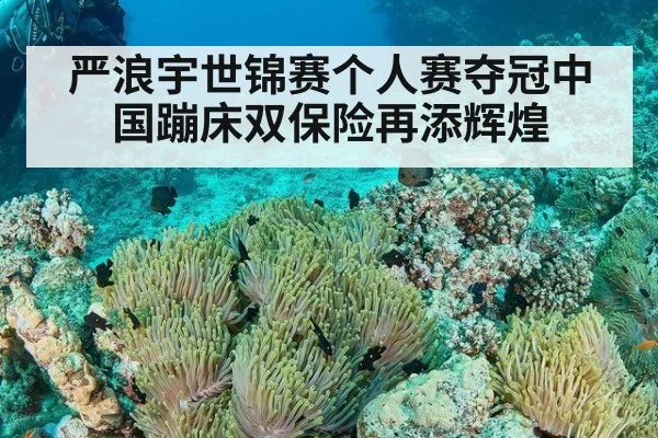 严浪宇世锦赛个人赛夺冠中国蹦床双保险再添辉煌